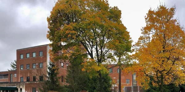 Foundation for Living